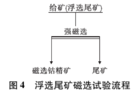 浮选尾矿磁选试验流程