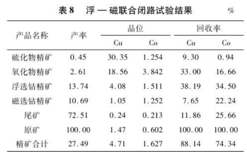 浮一磁联合工艺试验结果